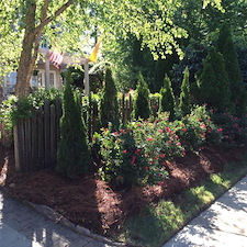 Shrubs-Sod 7